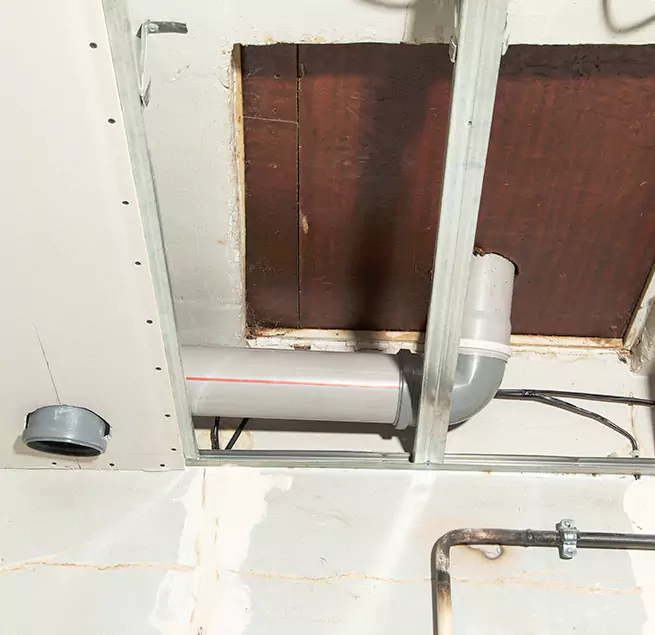 Why Homeowners & Businesses Trust Us in Bloomingdale, FL?