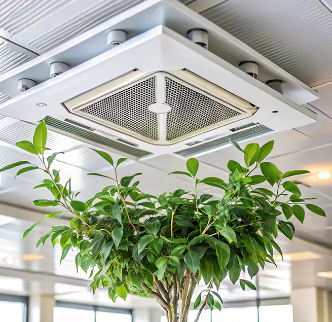 Why Homeowners & Businesses Trust Us in Bloomingdale, FL?