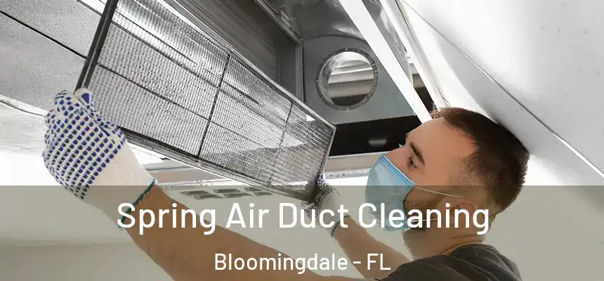 Spring Air Duct Cleaning Bloomingdale - FL