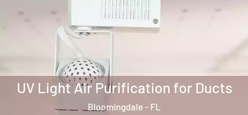 UV Light Air Purification for Ducts Bloomingdale - FL