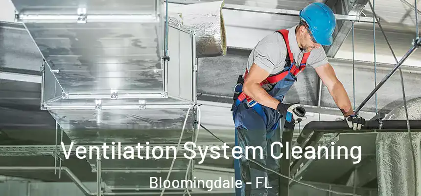 Ventilation System Cleaning Bloomingdale - FL