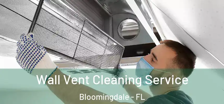 Wall Vent Cleaning Service Bloomingdale - FL